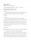 Complejos Quelantes