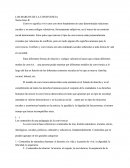 Los Marcos De La Convivencia