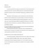 PRACTICA VIAS II - SECCIONES TRANSVERSALES