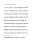 Una Mirada Restrospectiva: Mi Formacion Docente