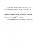 La diabetes en los adultos mayores de 35 años