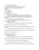 Nuevo Ordanmiento Constitucional De Los Pueblos Indígenas En Venezuela