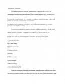 La Narrtativs