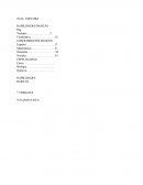 Examen Ingreso A Universidad