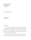 Comunicacion Gerencial