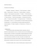 ESCRITURA PUBLICA