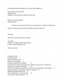 Nuevas Tecnologias Y Comprensios Lectora En Primaria