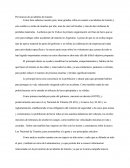 Prevencion Accidentes De Transito