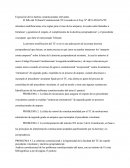 Sentencia Tribunal Constitucional