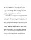 Calentamiento Fisico