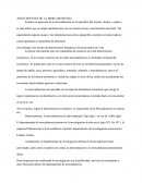 Antesedentes De La Mercadotecnia