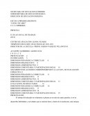 Programa de actividades docentes