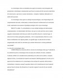 Criminologia Critica