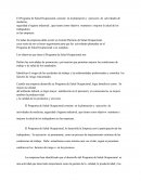 Programa De Salud Ocupacional