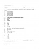 Ensayo Simce 8º