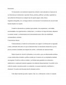 Un documento es un testimonio material