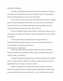 Platillo típico de Huajuapan