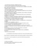 Mundo De Sofia