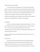 Neoplasias Malignas De Intestino Delgado