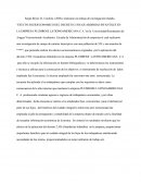 Implementacion De Una Guarderia