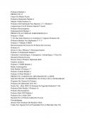 Ensayo De Machu Picchu