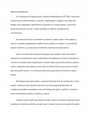 Coordinación de Organizaciones Culturales Metropolitanas