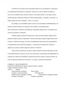 Compras De Articulos De Oficina Y Enseres