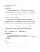 TRABAJO COLABORATIVO No. 2 EPISTEMOLOGIA
