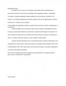 El estudio de los vectores