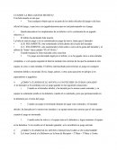 Bachiller En Ciencias