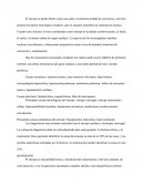 Las posibles causas de síncope