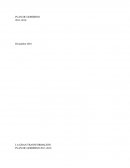 Plan De Gob D Ollanta