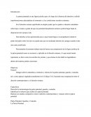 La patria potestad