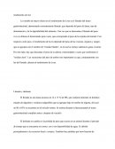 Ganaderia De Engorde Rendimeinto En Canal