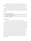 Practica Docente
