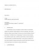 Trabajo Colaborativo 1 Epistemologia