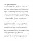 Como Se Constituye Un Delincuente