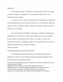 El Perfil Del Analista De Sistemas