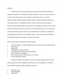 Infección respiratoria aguda