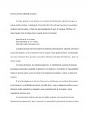 Natación En Embarazadas