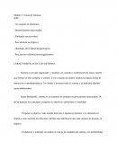 Ingeniera De Sistemas