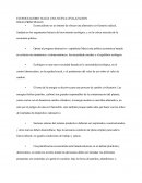 Ecosocialismo- Ensayo