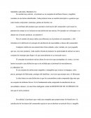 Significado del producto