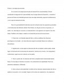 Erikson Y Las Etapas Psicosociales