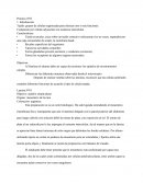 Informe De Histologia