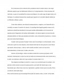 La Evolución De La Sociedad