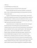 Motricidad En Preescolar