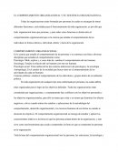 Comportamiento Organizacional