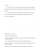 Organigrama Organizacional