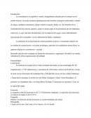 San Lorenzo Cacaotepec